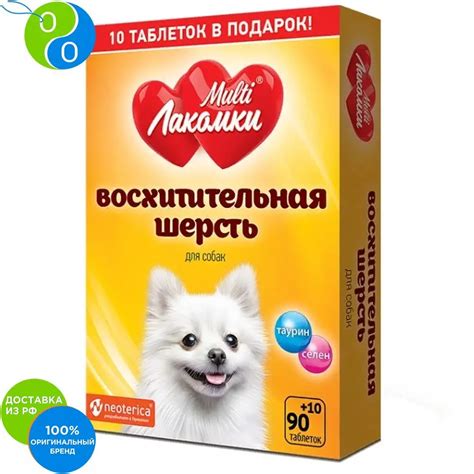 Multi Vitamins Delicious Gourmet Coat For Dogs 100 Tab, Multilakomki ...