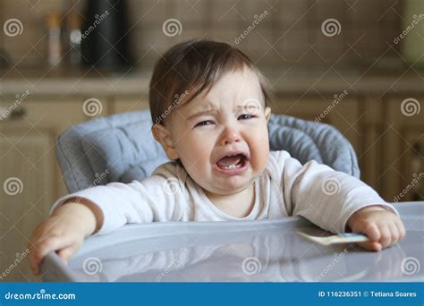 Little Hungry Baby Crying Sitting in the High Feeding Chair with Spoon ...