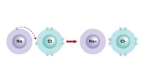 Ionic Bond Examples | Biology Dictionary