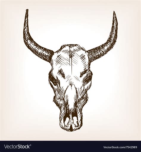 Cow skull hand drawn sketch style Royalty Free Vector Image