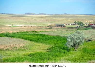 584 Shrub veld Images, Stock Photos & Vectors | Shutterstock