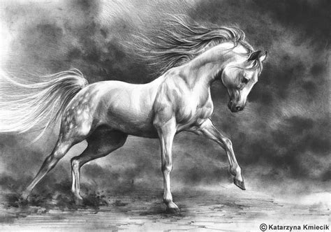 Horse Pencil Drawing