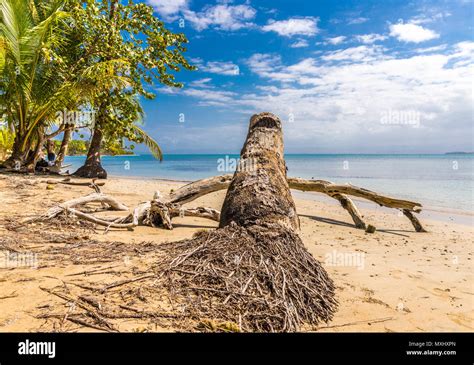 Starfish Beach panama Stock Photo - Alamy