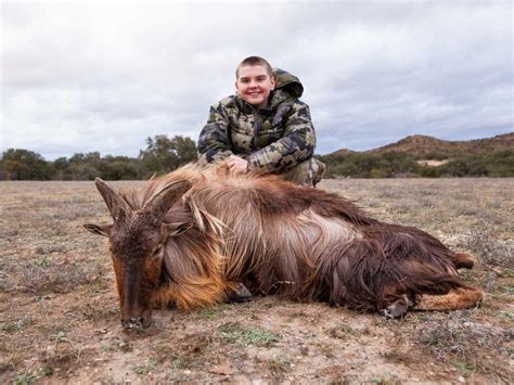 Himalayan Tahr Hunting | 60+ Species | 18,000 Acres in Texas | Ox Ranch