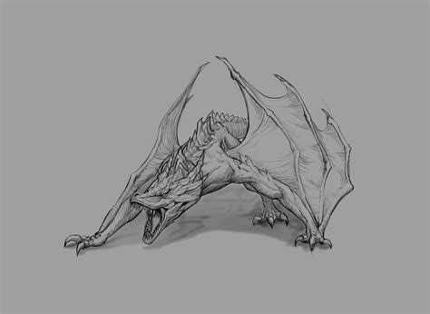 ArtStation - Wyvern Drawing