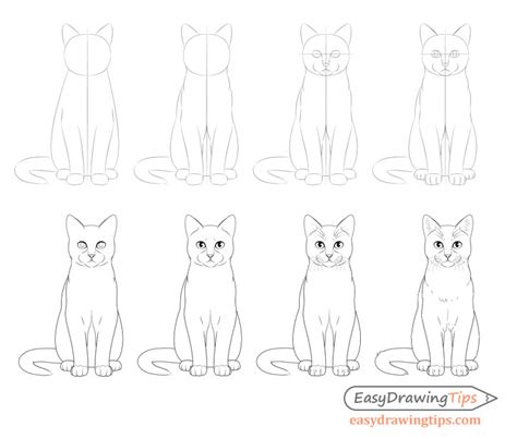 How to Draw a Cat Step by Step - EasyDrawingTips