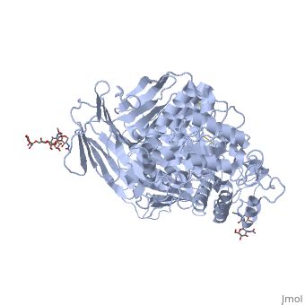 Sucrase-isomaltase - Proteopedia, life in 3D