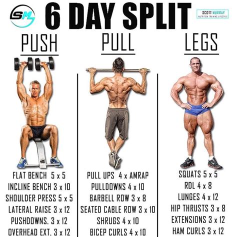 5 day push pull legs workout routine pdf - Broad-Based Log-Book Image Bank