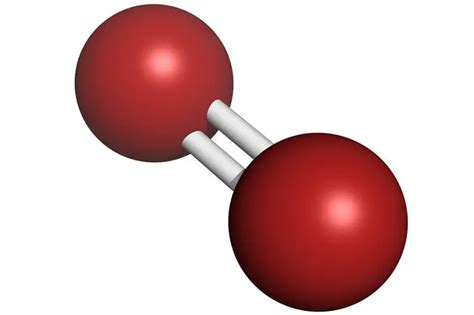 What are diatomic elements and which elements are diatomic?