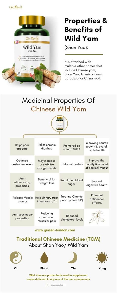 Wild Yam (Shan Yao) : Properties & Benefits