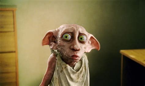 13 Reasons Dobby Is The Best 'Harry Potter' Character