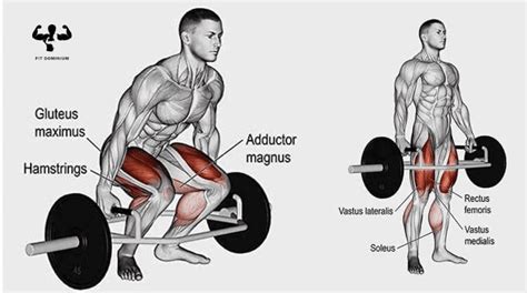 Top 7 Trap Bar Deadlift Muscles Used – FitDominium