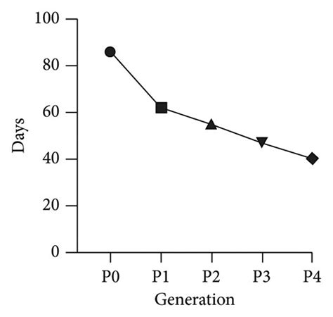 Data related to the construction of PDX model for oral squamous ...