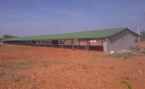 Poultry Shed Construction Services by Vismaya Integrated Farm Tech from ...