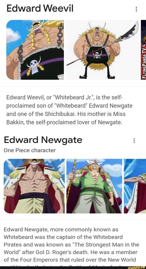 Edward Weevil Edward Weevil, or "Whitebeard Jr.', is the self ...