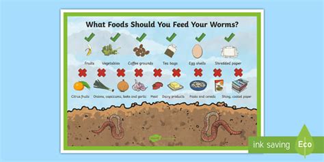 What to Feed Worms in a Worm Farm | Worm Food Poster