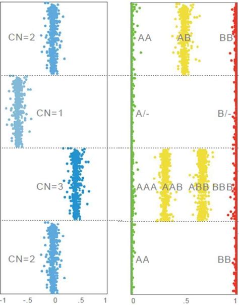 SNP array interpretation. Illustration of normal copy number (CN = 2 ...