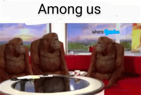 Monkey is sus : r/memes