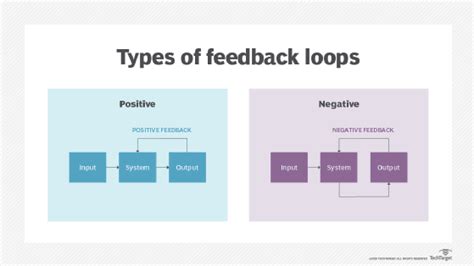 Negative feedback loop biology