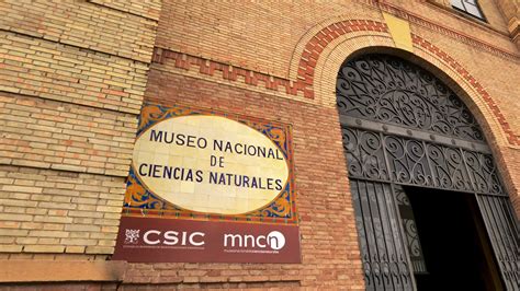 Museo Nacional de Ciencias Naturales | MumAbroad