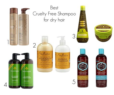 BEST CRUELTY FREE SHAMPOO FOR DRY HAIR