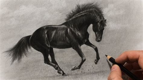 Dark Horse Drawing