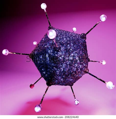 Adenoviruses Family Adenoviridae Their Name Derives Stock Illustration ...