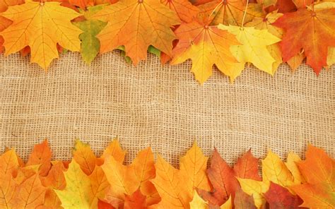 Autumn Leaves Textures Background Autumn Slides Backgrounds For ...