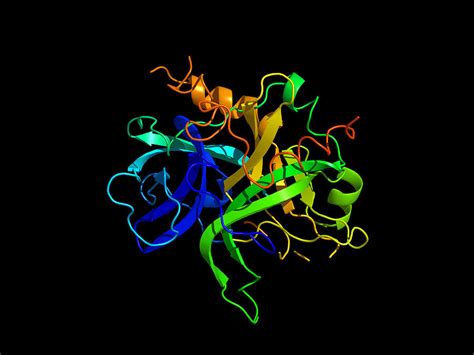 Thrombin Protein, Secondary Structure Photograph by Dr Tim Evans - Fine ...