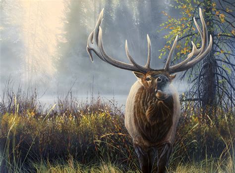 Elk paintings search result at PaintingValley.com