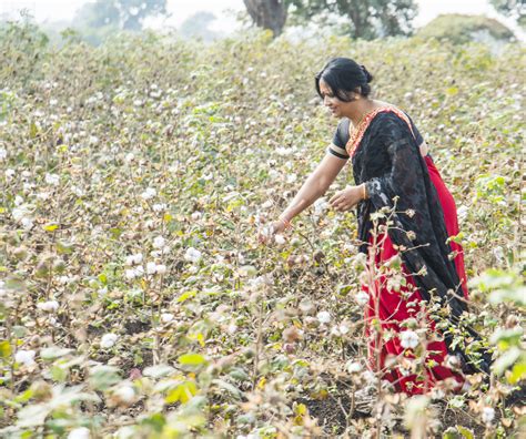 CottonConnect Improves the Lives of Women Farmers by Teaching Them ...