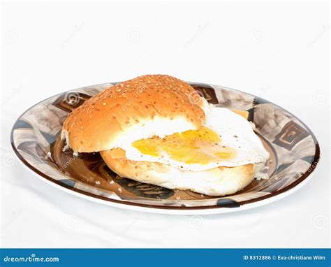 South african breakfast stock photo. Image of fried, food - 8312886