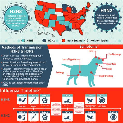 H3N2 Canine Influenza Outbreak - Aliante Animal Hospital