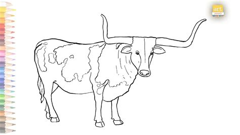 Longhorn Cattle Drawing