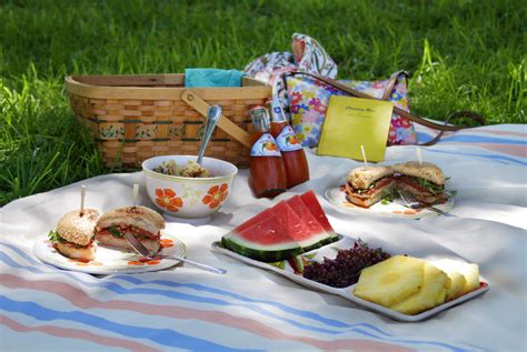 10 Unique Picnic Food Ideas For A Date 2024