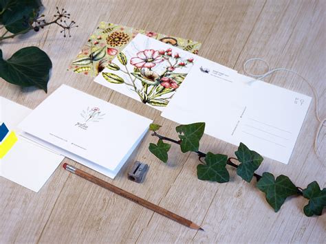 Snail Mail Pen Pal Kit. Cute Insect, Flower Postcard Pack. Garden Snail ...