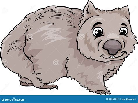 Wombat Animal Cartoon Illustration Stock Vector - Image: 42065749