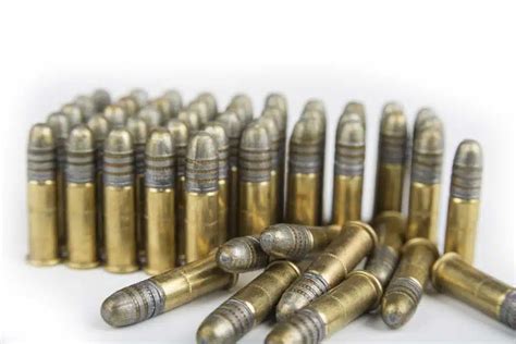 The Best .22 Long Range Rimfire Ammunition for Long-Range Shooting