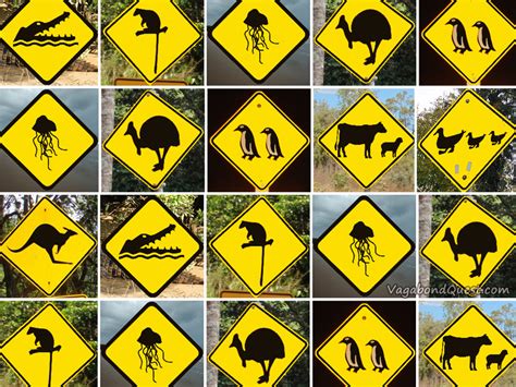 Top 8 Animal Street Signs from Australia and New Zealand - Vagabond Quest