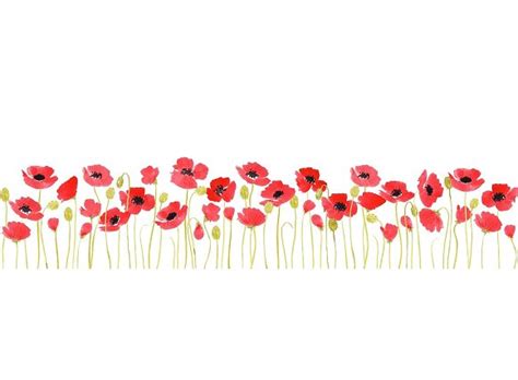 Poppy clipart border, Poppy border Transparent FREE for download on ...