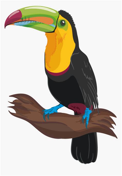 Clip Art Are Toucans Parrots - Bird Drawing With Colour, HD Png ...