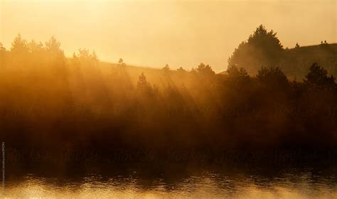 "Sunrise On Foggy Lake" by Stocksy Contributor "Marko" - Stocksy