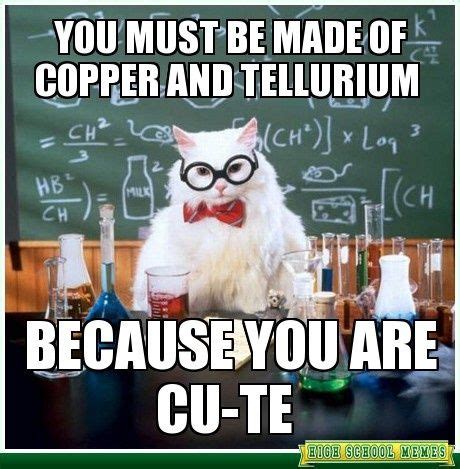 64 best Chemistry Cat Meme images on Pinterest | Funny stuff, Science ...