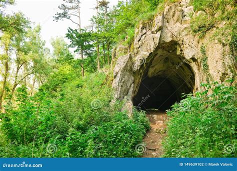 Entrada a La Cueva Natural En El M?s Forrest Foto de archivo - Imagen ...