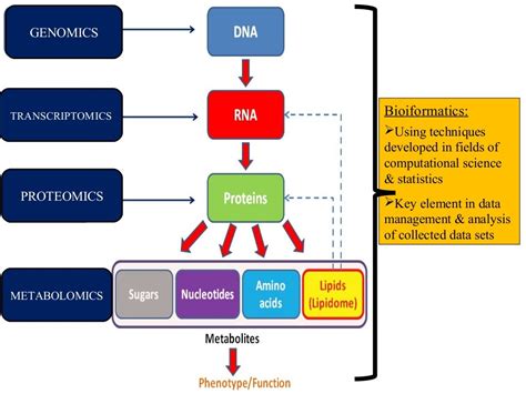 Metabolomics