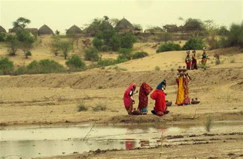 What no one told you about Pakistan, Thar Desert after the rains Heavy ...