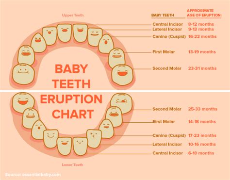 How to Care Properly for your Baby’s Teeth Babychildandco