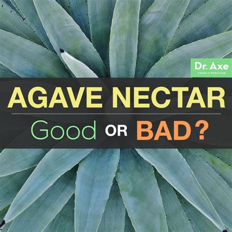 Is Agave Nectar Good for You? | Agave nectar, Agave syrup bad, Agave ...