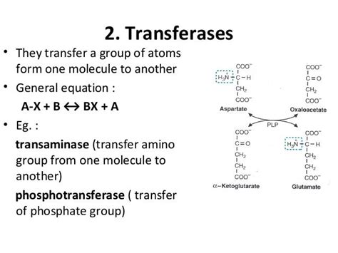 Classification of enzymes