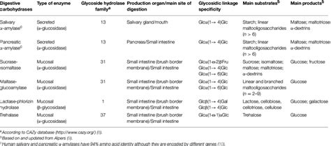 Human carbohydrases involved in dietary carbohydrate digestion ...